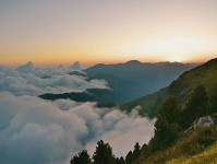 糖心vlog入口曝光的深层次意义：观众深陷其中，难以自拔